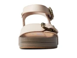 Blowfish Malibu -Blowfish Malibu 61FrNIzRrTL