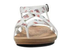 Blowfish Malibu -Blowfish Malibu 61JzIU9iGkL