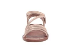 Blowfish Malibu Kids Dyoo T (Toddler/Little Kid) 13 Blowfish Malibu Kids Dyoo T (Toddler/Little Kid) -Blowfish Malibu 61kn8uo3XVL