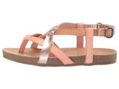 Blowfish Malibu Kids Granola B T (Toddler/Little Kid) 10 Blowfish Malibu Kids Granola B T (Toddler/Little Kid) -Blowfish Malibu 71CB0BOYB0L