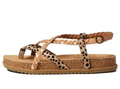 Blowfish Malibu Kids Foxtail-K (Little Kids/Big Kids) 9 Blowfish Malibu Kids Foxtail-K (Little Kids/Big Kids) -Blowfish Malibu 71ddpK5z L