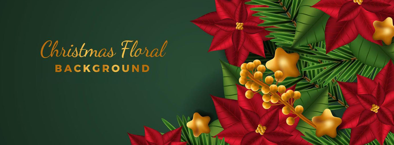 Blowfish Malibu 1 Blowfish Malibu -Blowfish Malibu 120